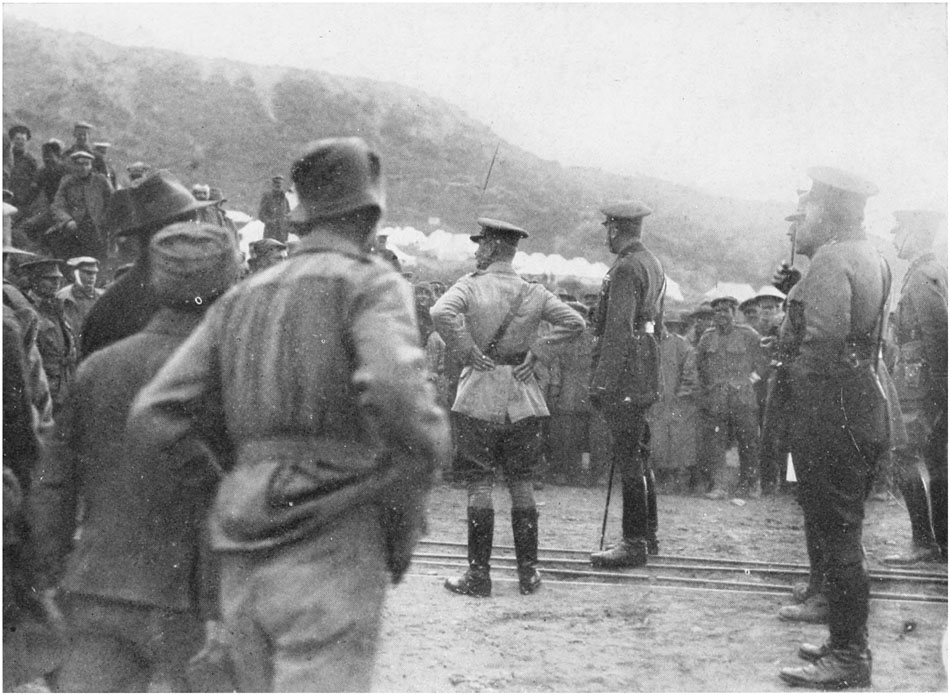 gallipoli trench