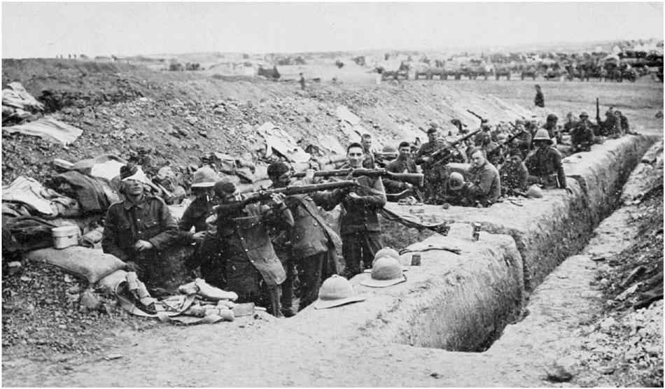 gallipoli trench