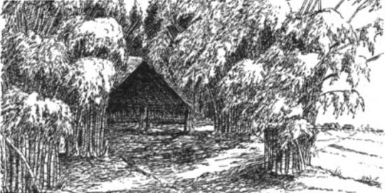 Bamboebosch met karbouwen kraal bij Depok (Batavia).