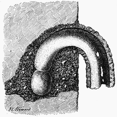 Fig. 46.—Section de la galerie et de la chemine de
l'Anthophora parietina.