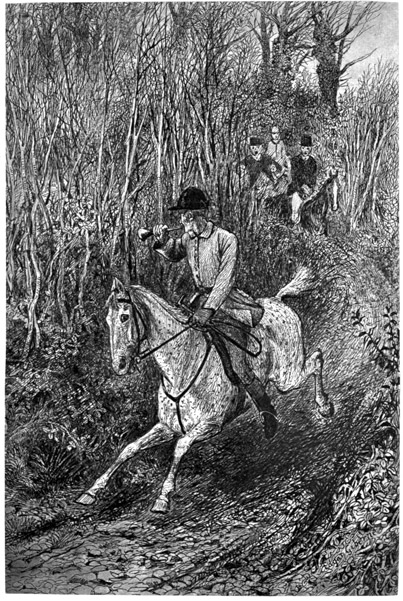 Huntsman blowing his bugle while galloping ahead of the field on a path through low growth.