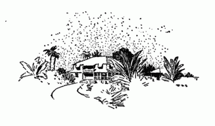A house in the tropics sketch
