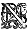 Chapter 2 decorative initial N