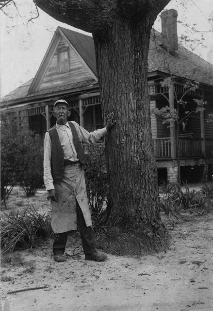 Gus Askew was born a slave of the Edwards family in Henry County in 1853
