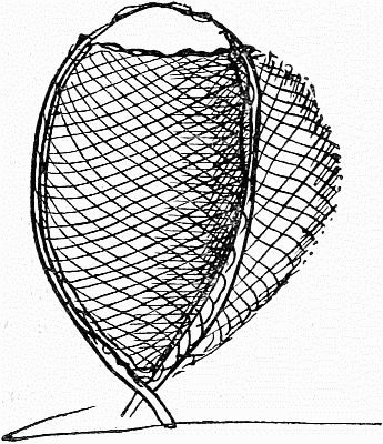 Another style of fishing net; linked to larger image.