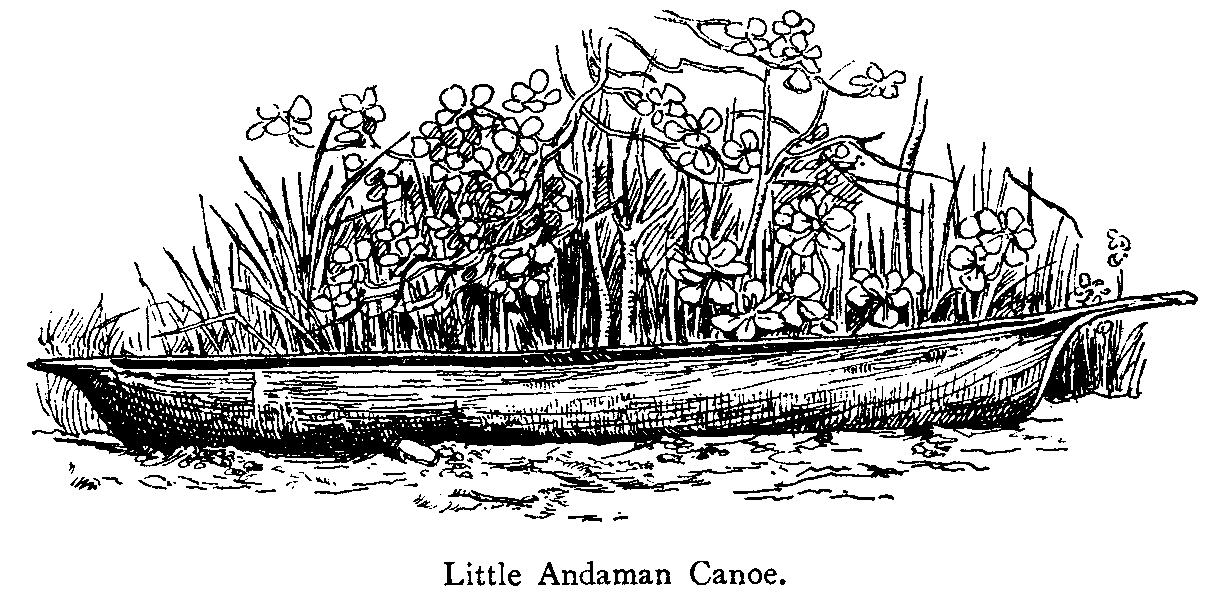 Little Andaman Canoe.