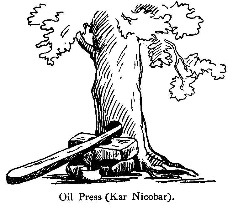Oil Press (Kar Nicobar).