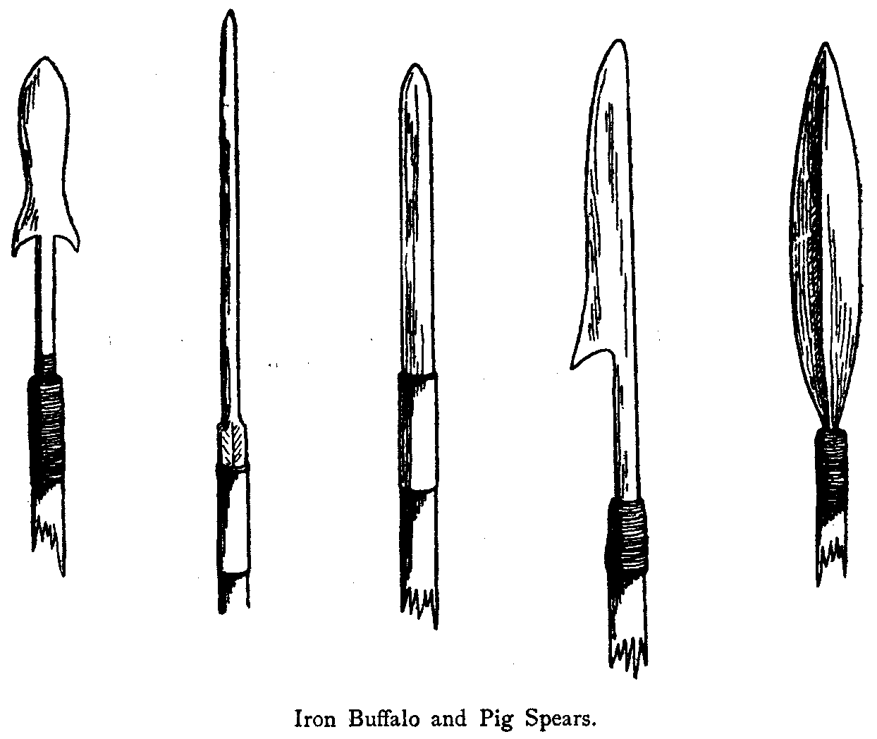 Iron Buffalo and Pig Spears.