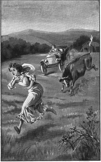 GLADYS TURNED THE CAR INTO THE FIELD AND STARTED AFTER THE BULL AT FULL SPEED.