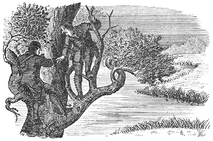 Two Men in a Tree