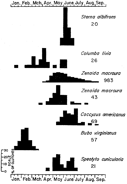 Fig 4.—Histograms representing breeding schedules