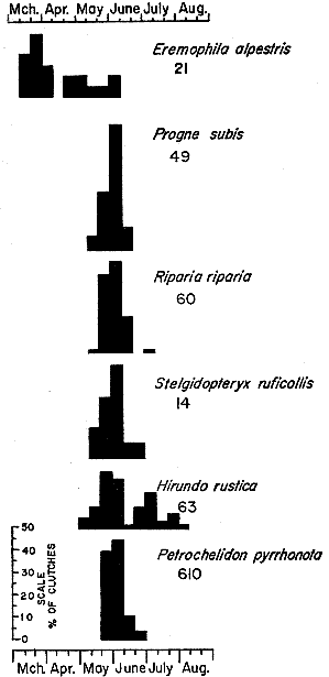 Fig 6.—Histograms representing breeding schedules of the Horned Lark and swallows
