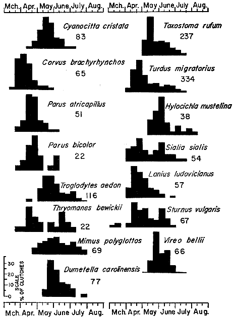 Fig 7.—Histograms representing breeding schedules of crows, chickadees, wrens, thrashers, thrushes, and their allies