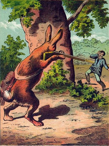 Hare shooting a rifle