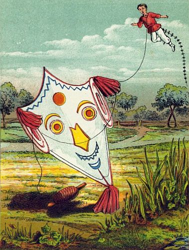 Kite flying a boy