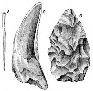 Fig. 78.

Palolithic relics.

1, Bone needle, from a cave at La
Madeleine,  size. 2, Tooth of Machairodus
or sabre-toothed tiger, from Kent's
Cavern,  size. 3, Rough stone implement,
from Kent's Cavern,  size.