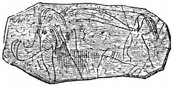 Fig. 79.

Mammoth engraved on ivory by Palolithic man.