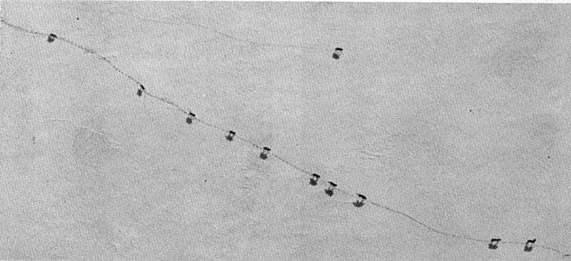 Figure 4.—An important technique used in the study involved aerial tracking
and observing of wolf packs. (Photo courtesy of L. D. Frenzel.)