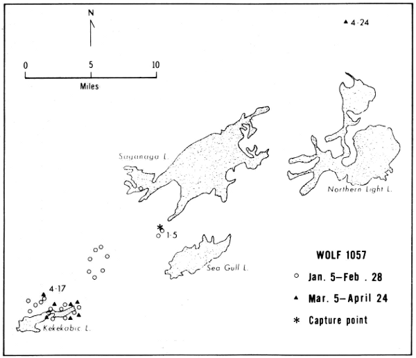 Figure 23.—Locations and range of wolf 1057.
Only selected lakes are shown.