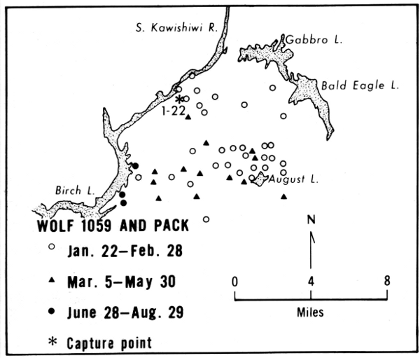 Figure 24.—Location and range of wolf 1059
and pack. Only selected lakes are shown.