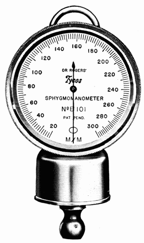 Fig. 19.—Detail of the dial in the "Tycos" instrument.
