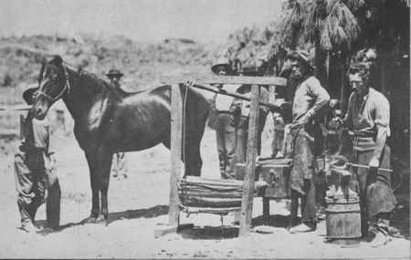 "The muscles of his brawny arms are strong as ironbands...." Union Army blacksmiths
had to shoe nearly 500 new horses and mules daily.