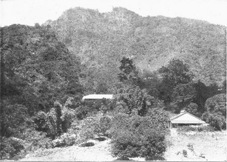 BUXA DUAR. My bungalow in the foreground; the Officers'
Mess among the trees.