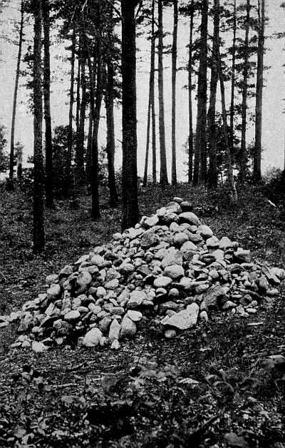 THE PILE OF STONES MARKING THE SITE OF THOREAU'S
CABIN, BY WALDEN POND