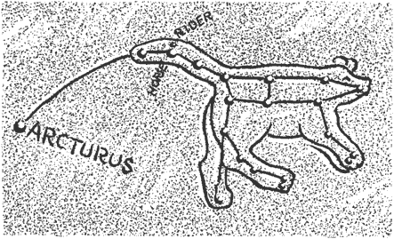 Arcturus, Horse Rider