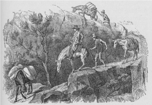 TRAVELLERS DESCENDING A MOUNTAIN ROAD.