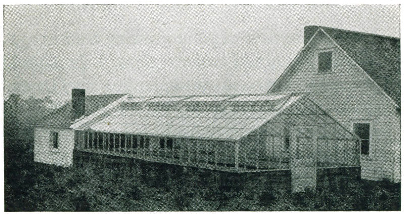 Figure 11.—A good small greenhouse for plant growing.