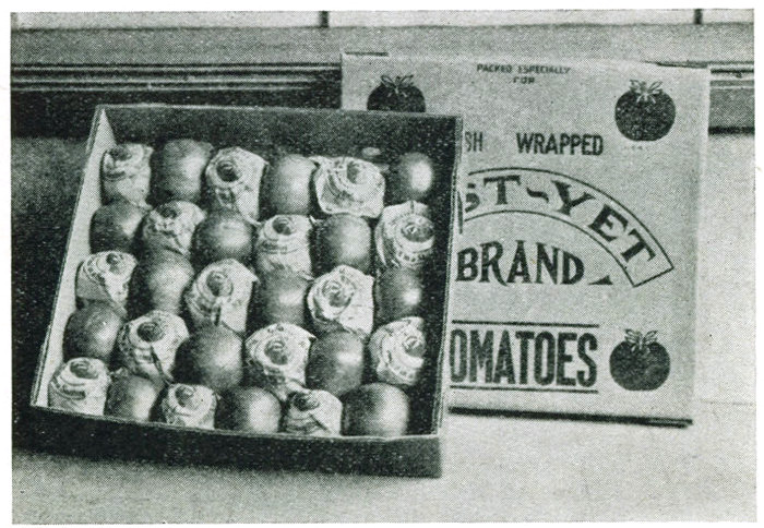 Figure 26.—Repacked tomatoes. Southern tomatoes go to wholesale
houses that specialize in ripening and repacking. Many kinds of
packages are used. The flat 10-pound box is one of the popular
packs especially in the Boston area.