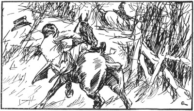 Some horses, swerving at a trial
