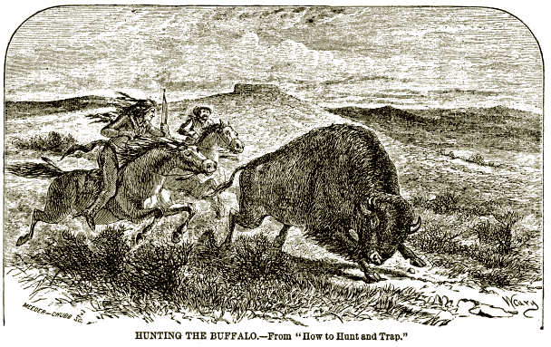 Hunting the Buffalo.