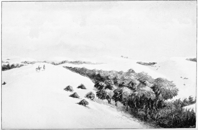 Plate XXXI.

SAND-DUNES AND CORRALES OF DOANA.

Page 245.