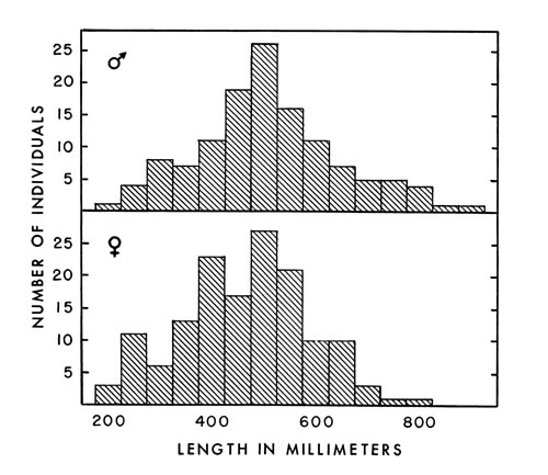 Fig. 5. Composition of a group of cottonmouths