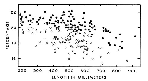 Fig. 7. Tail length expressed as a percentage of snout-vent length