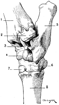 Fig. 52