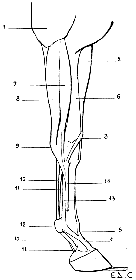 Fig. 77