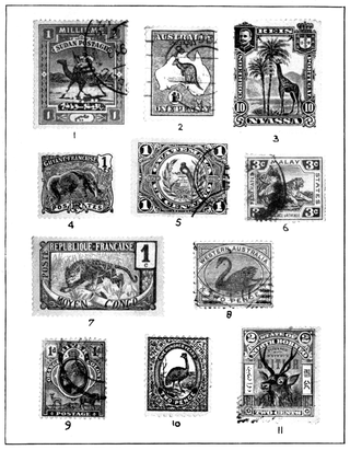 Zoological Stamps