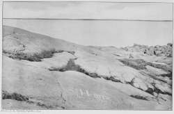 Photo. J. B. Tyrrell, Oakley, 1894.
S. HEARNE'S NAME ON THE SMOOTH GLACIATED ROCK AT SLOOP'S COVE,
NEAR CHURCHILL