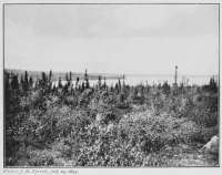 Photo: J. B. Tyrrell, July 19, 1893.
WHOLDIAH LAKE AS SEEN FROM THE HILLS TO THE SOUTH