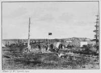 Photo: J. W. Tyrrell, 1900.
LAST WOODS ON EAST SHORE, ARTILLERY LAKE
