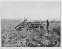Photo: J. P. Tyrrell, July 31, 1893.
DRYING CARIBOU MEAT