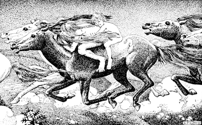 THEN THE WILD MAN, CATCHING MARTIN
UP, LEAPED UPON THE BACK OF ONE OF
THE HORSES.