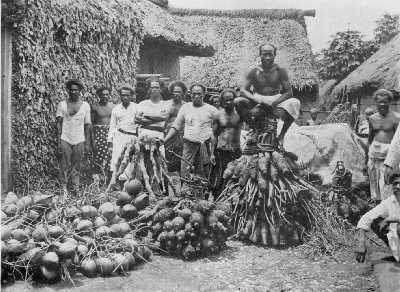 Spoil from the plantations—(Taro, Cocoanuts and Yangkona).