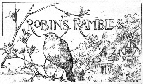 Robin's Ramble