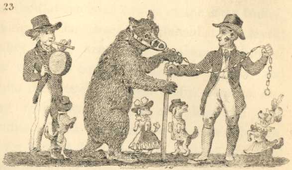 The Dancing Bear and Dogs