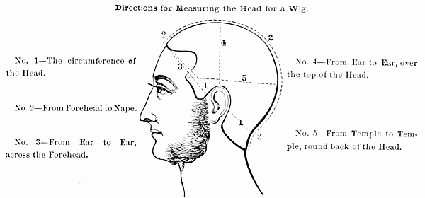 Directions for Measuring the Head for a Wig.