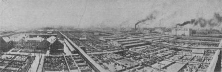 Fig. 10.—Bird's Eye View of Union Stock Yards, Chicago.